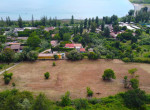 DCIM101MEDIADJI_0880.JPG